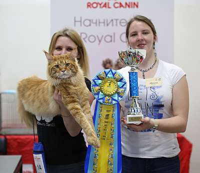 �������� ����� '���-�����-������' 11-12 ������ 2015 2-14-169A4871 copy.jpg